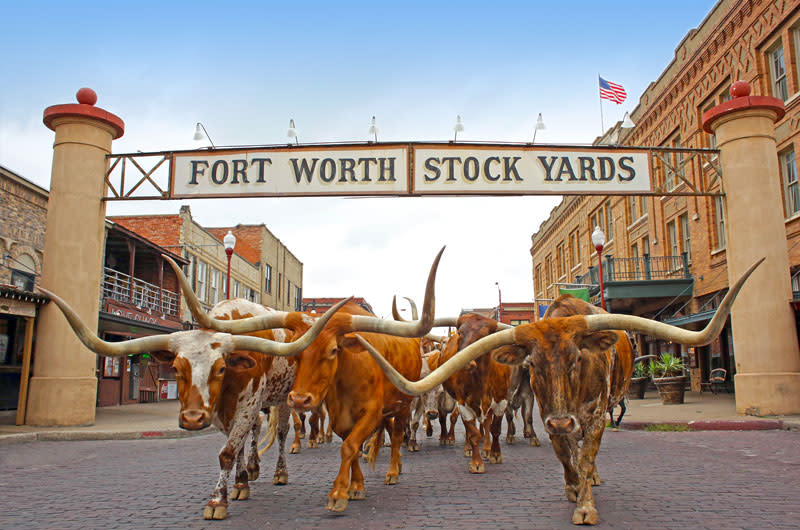 Fort Worth cityscape near established residential neighborhoods